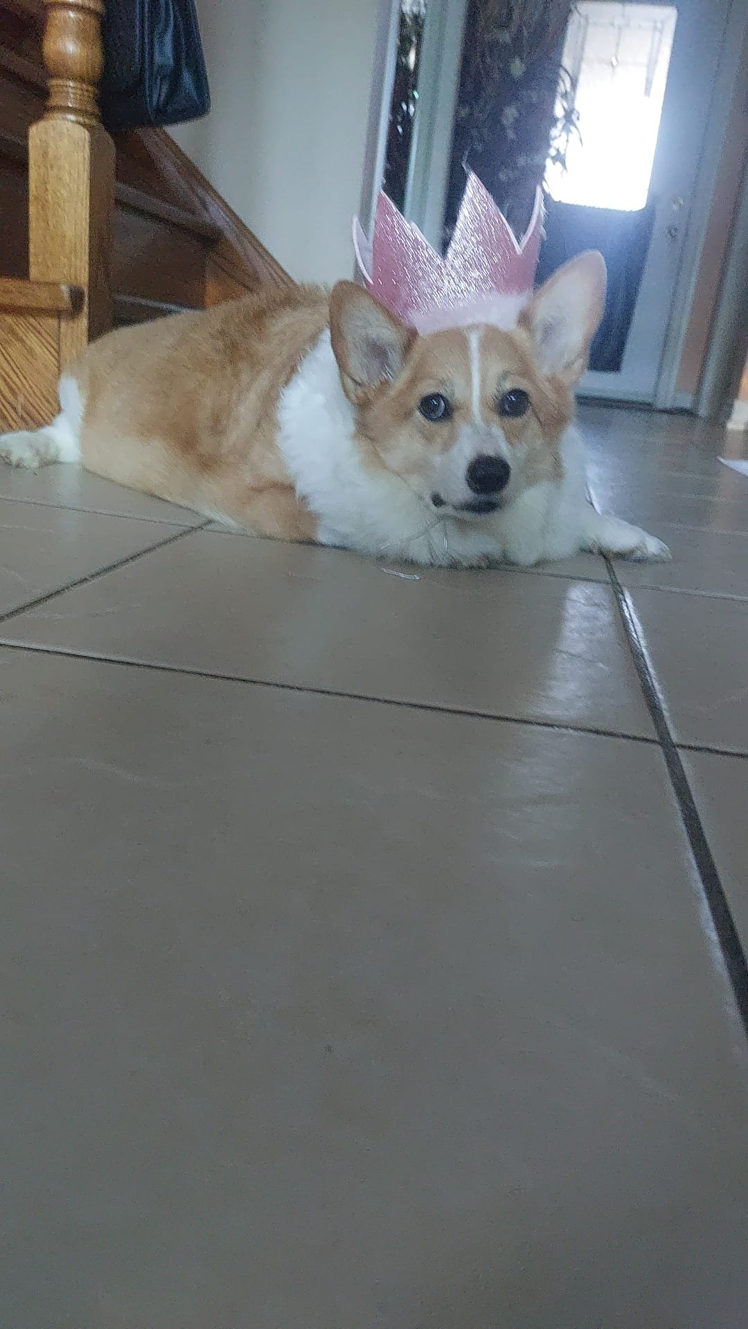 Mia wearing her pink crown